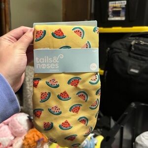 Tails & Noses - Watermelon Dog/Cat Bandana - OS